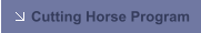 Cutting Horse Program